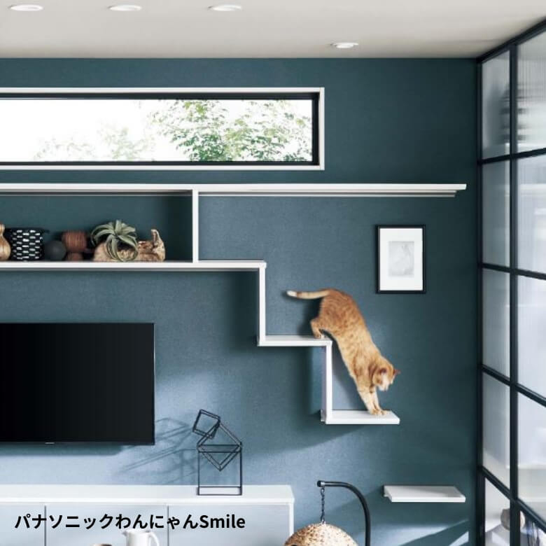 ペットとの暮らし